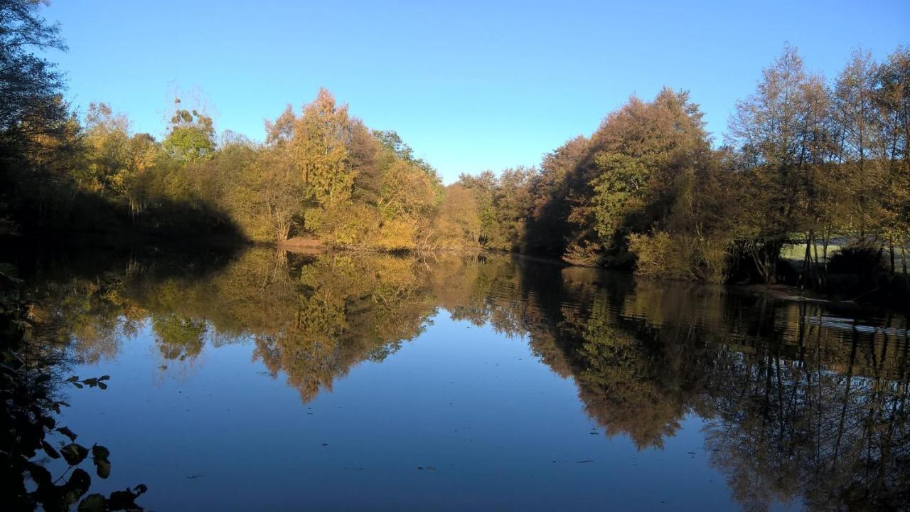 Gite Des Etangs De Beaulieu Le Plessis-Dorin Eksteriør bilde